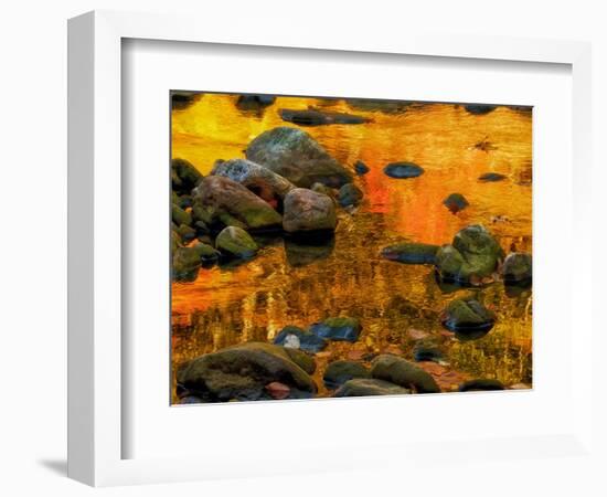 Pond, Davis, West Virginia, USA-Jay O'brien-Framed Photographic Print