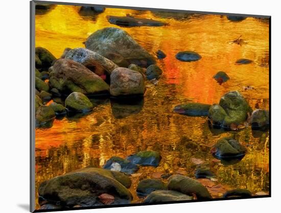 Pond, Davis, West Virginia, USA-Jay O'brien-Mounted Photographic Print