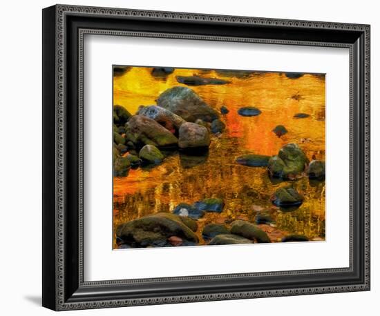 Pond, Davis, West Virginia, USA-Jay O'brien-Framed Photographic Print