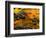 Pond, Davis, West Virginia, USA-Jay O'brien-Framed Photographic Print