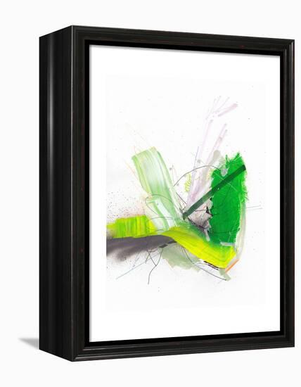 Pond Fireworks-Jaime Derringer-Framed Premier Image Canvas