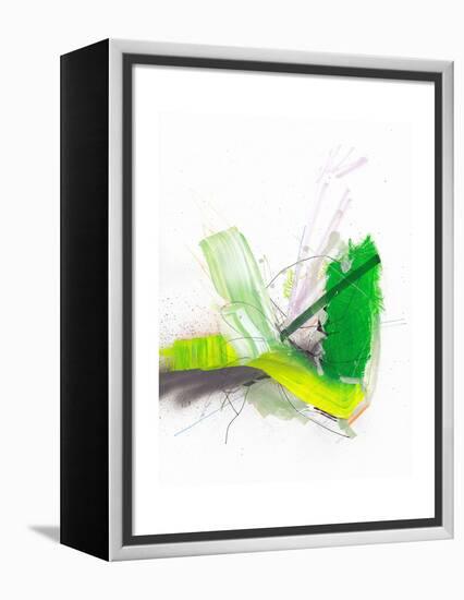 Pond Fireworks-Jaime Derringer-Framed Premier Image Canvas