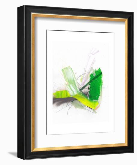 Pond Fireworks-Jaime Derringer-Framed Premium Giclee Print