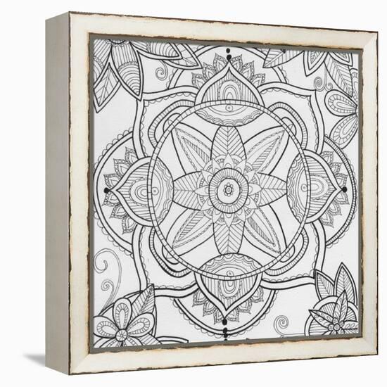 Pond Floral-Pam Varacek-Framed Stretched Canvas