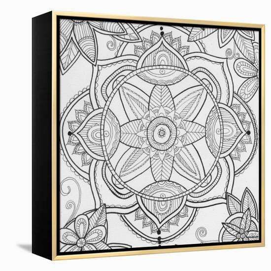 Pond Floral-Pam Varacek-Framed Stretched Canvas