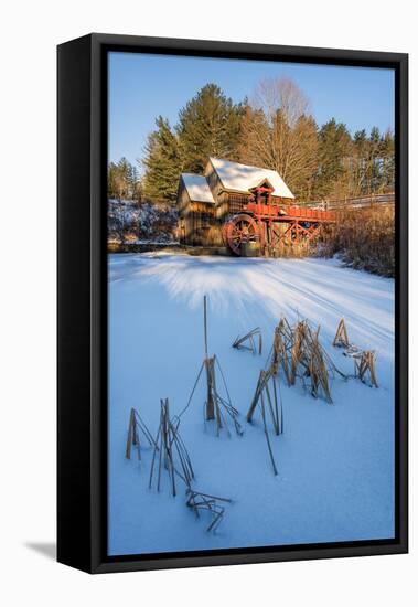 Pond Grasses-Michael Blanchette-Framed Premier Image Canvas