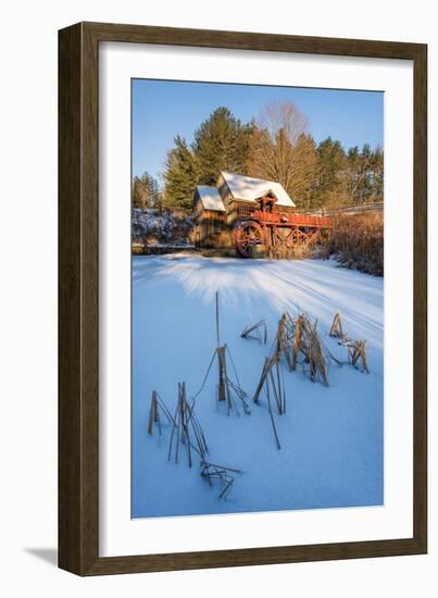 Pond Grasses-Michael Blanchette-Framed Photographic Print