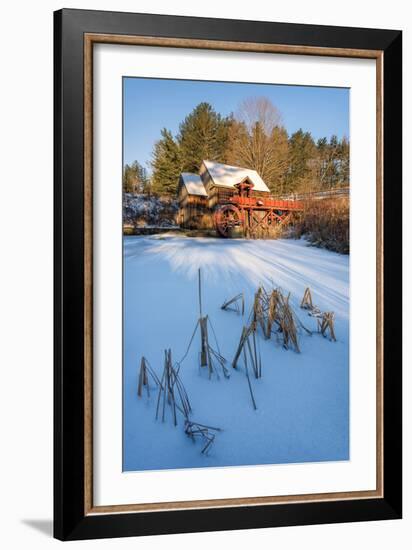 Pond Grasses-Michael Blanchette-Framed Photographic Print