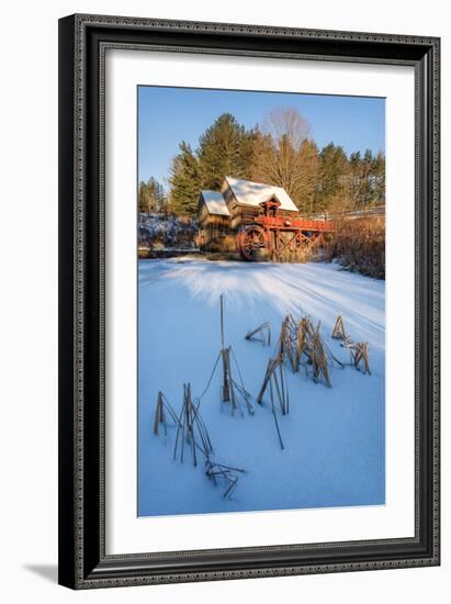 Pond Grasses-Michael Blanchette-Framed Photographic Print