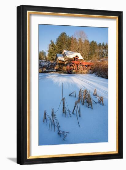 Pond Grasses-Michael Blanchette-Framed Photographic Print