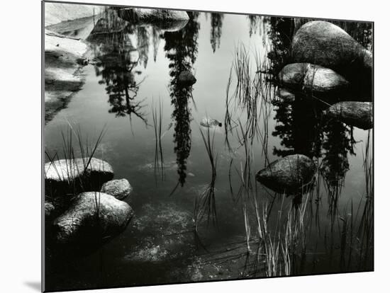 Pond, High Sierra, 1963-Brett Weston-Mounted Premium Photographic Print