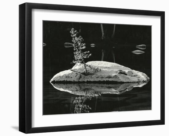 Pond, High Sierra, California, 1972-Brett Weston-Framed Photographic Print