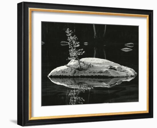 Pond, High Sierra, California, 1972-Brett Weston-Framed Photographic Print