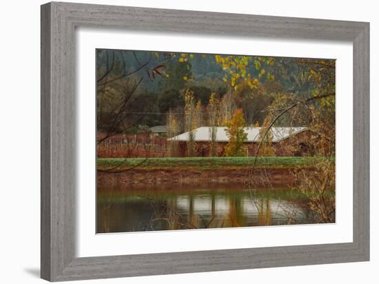 Pond House and Autumn Vineyard, Calistoga Napa Valley-null-Framed Photographic Print