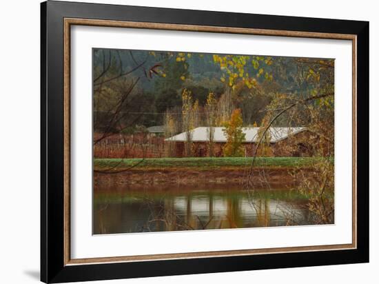 Pond House and Autumn Vineyard, Calistoga Napa Valley-null-Framed Photographic Print