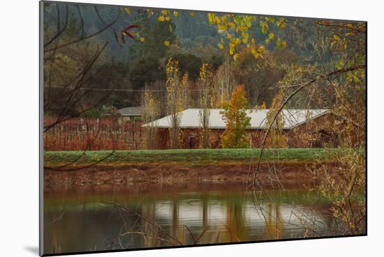 Pond House and Autumn Vineyard, Calistoga Napa Valley-null-Mounted Photographic Print