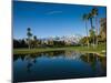 Pond in a Golf Course, Desert Princess Country Club, Palm Springs, Riverside County, California-null-Mounted Photographic Print