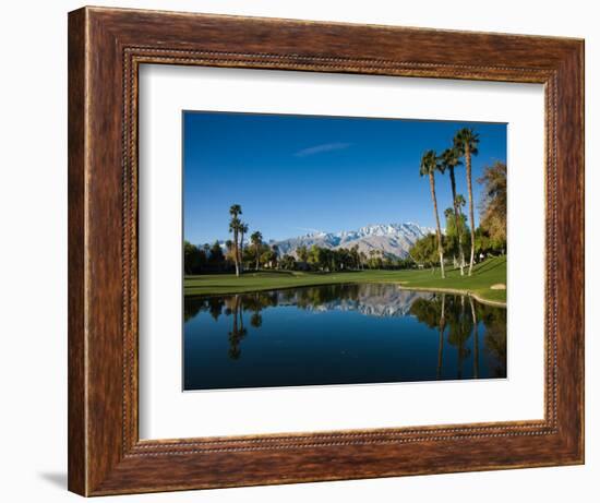 Pond in a Golf Course, Desert Princess Country Club, Palm Springs, Riverside County, California-null-Framed Photographic Print