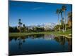 Photographic Print