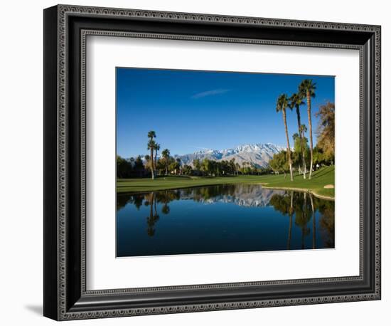 Pond in a Golf Course, Desert Princess Country Club, Palm Springs, Riverside County, California-null-Framed Photographic Print