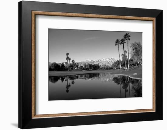 Pond in a golf course, Desert Princess Country Club, Palm Springs, Riverside County, California...-null-Framed Photographic Print