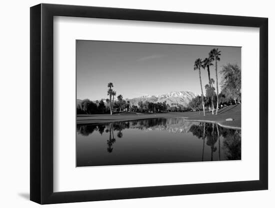 Pond in a golf course, Desert Princess Country Club, Palm Springs, Riverside County, California...-null-Framed Photographic Print