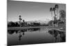 Pond in a golf course, Desert Princess Country Club, Palm Springs, Riverside County, California...-null-Mounted Premium Photographic Print