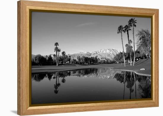 Pond in a golf course, Desert Princess Country Club, Palm Springs, Riverside County, California...-null-Framed Premier Image Canvas
