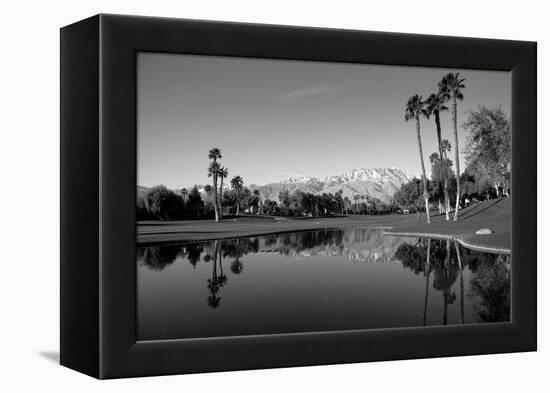 Pond in a golf course, Desert Princess Country Club, Palm Springs, Riverside County, California...-null-Framed Premier Image Canvas