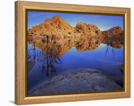 Pond in Joshua Tree National Park, Barker Tank, California, USA-Charles Gurche-Framed Premier Image Canvas