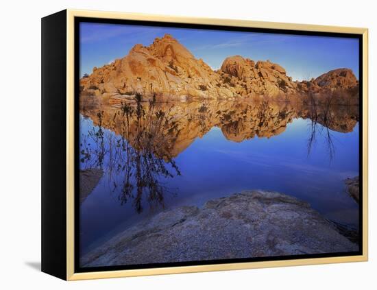 Pond in Joshua Tree National Park, Barker Tank, California, USA-Charles Gurche-Framed Premier Image Canvas