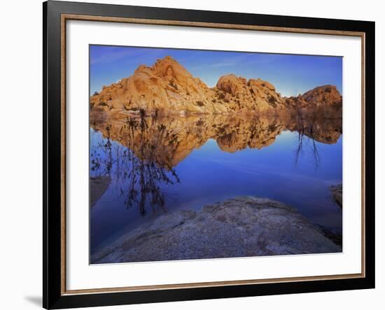 Pond in Joshua Tree National Park, Barker Tank, California, USA-Charles Gurche-Framed Photographic Print