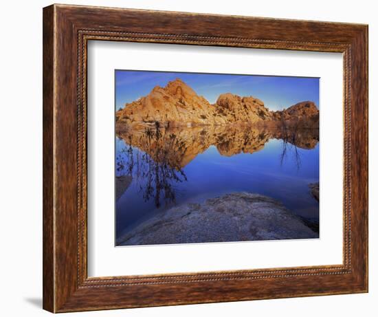 Pond in Joshua Tree National Park, Barker Tank, California, USA-Charles Gurche-Framed Photographic Print