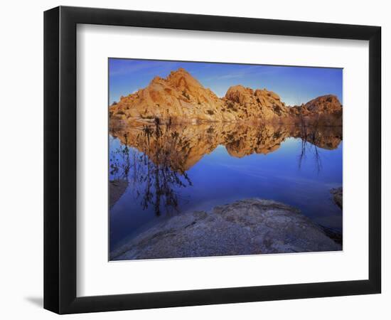 Pond in Joshua Tree National Park, Barker Tank, California, USA-Charles Gurche-Framed Photographic Print