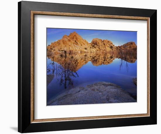 Pond in Joshua Tree National Park, Barker Tank, California, USA-Charles Gurche-Framed Photographic Print