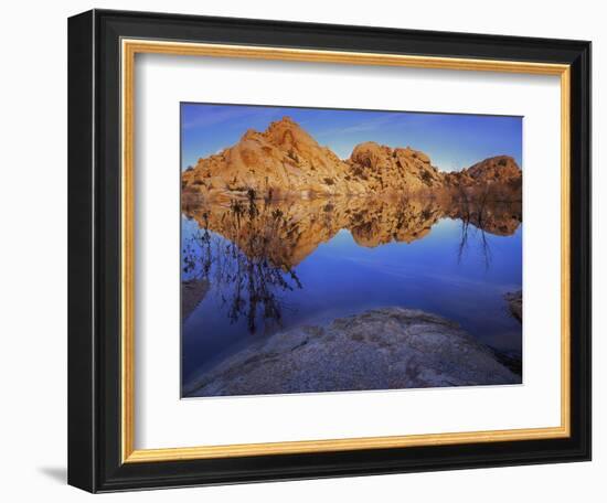 Pond in Joshua Tree National Park, Barker Tank, California, USA-Charles Gurche-Framed Photographic Print