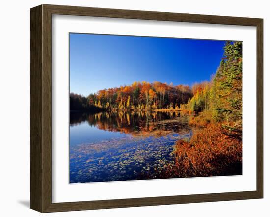 Pond in the Chaquamegon National Forest, Cable, Wisconsin, USA-Chuck Haney-Framed Photographic Print