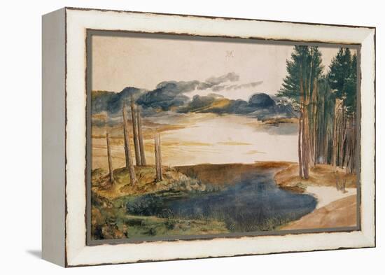 Pond in the Woods-Albrecht Dürer-Framed Premier Image Canvas