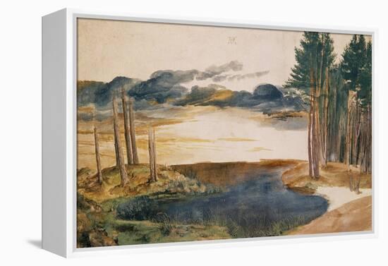 Pond in the Woods-Albrecht Dürer-Framed Premier Image Canvas