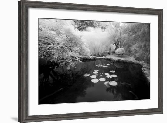 Pond IR-John Gusky-Framed Photographic Print