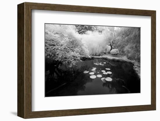 Pond IR-John Gusky-Framed Photographic Print