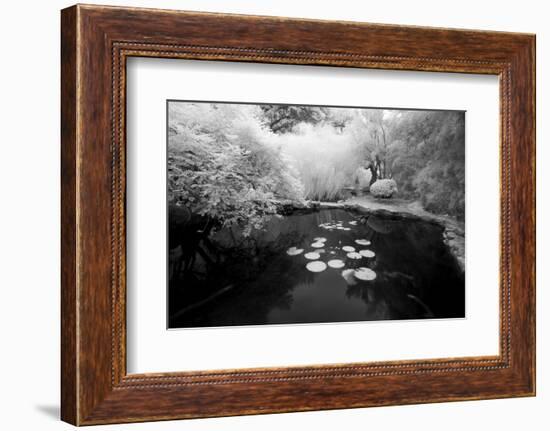 Pond IR-John Gusky-Framed Photographic Print