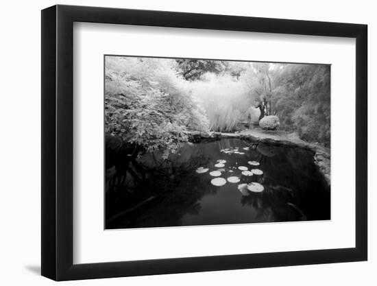 Pond IR-John Gusky-Framed Photographic Print