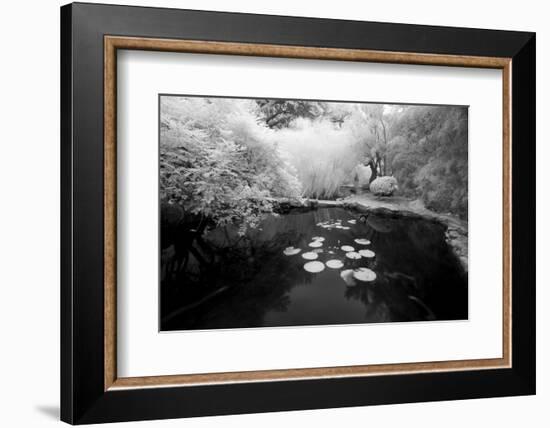 Pond IR-John Gusky-Framed Photographic Print