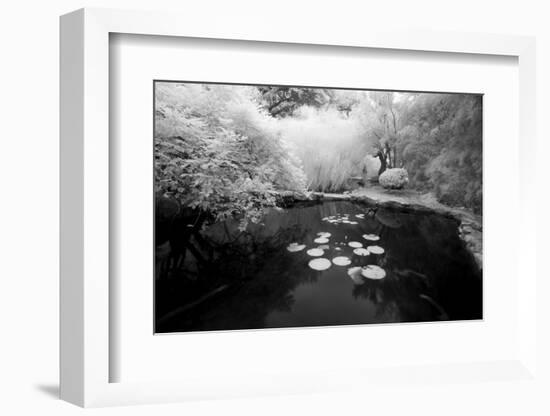 Pond IR-John Gusky-Framed Photographic Print