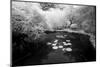 Pond IR-John Gusky-Mounted Photographic Print