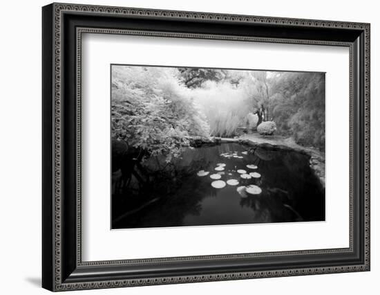 Pond IR-John Gusky-Framed Photographic Print