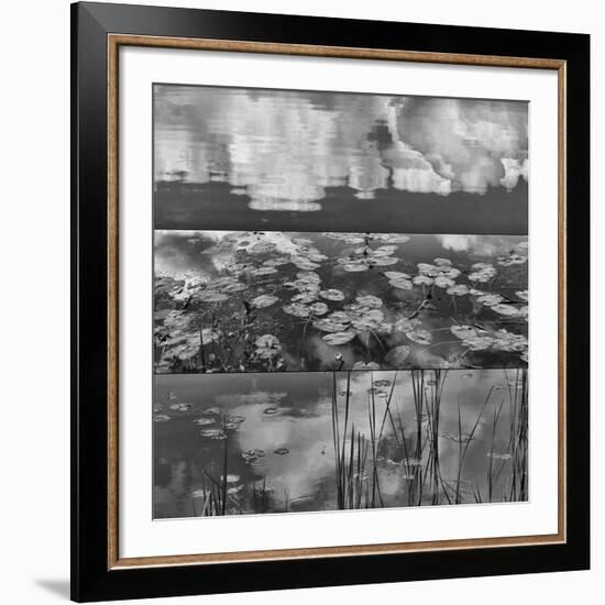 Pond-Land 3-Jean-François Dupuis-Framed Art Print