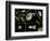 Pond Life-Laguna Design-Framed Premium Photographic Print