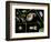 Pond Life-Laguna Design-Framed Premium Photographic Print